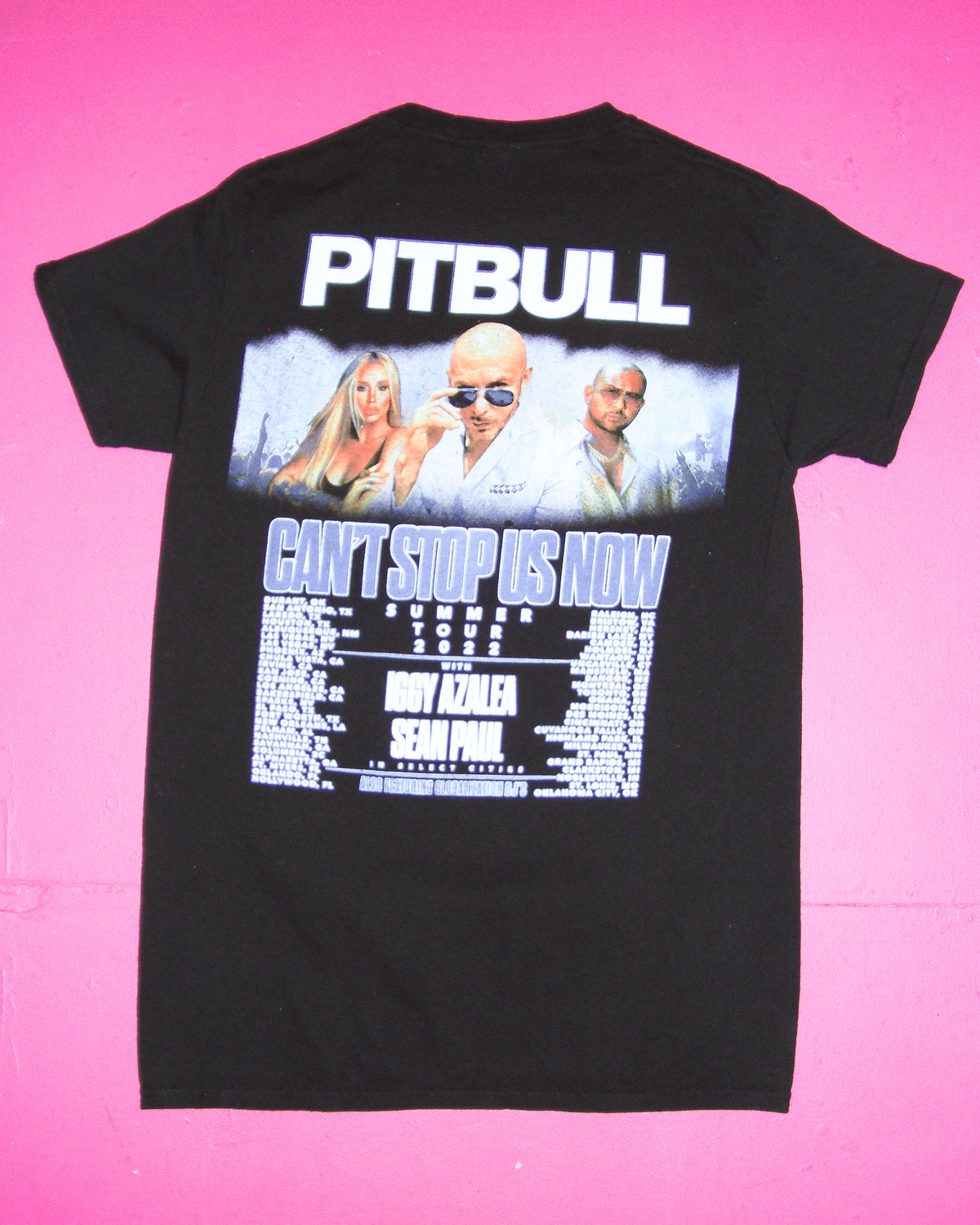 PITBULL TEE - SMALL